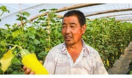 农民大哥爆料视频网红,网红背后的真实生活